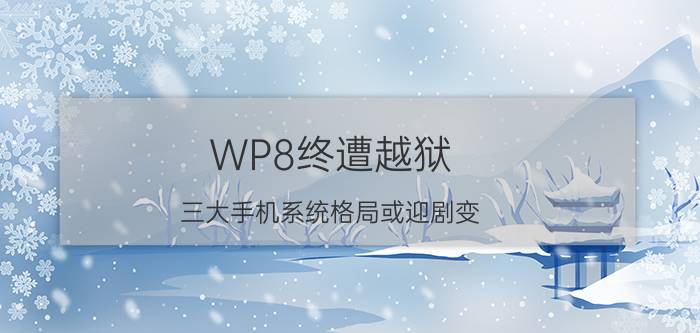 WP8终遭越狱 三大手机系统格局或迎剧变